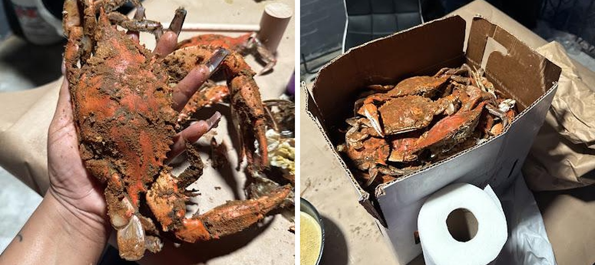 Crabs Out back Menu