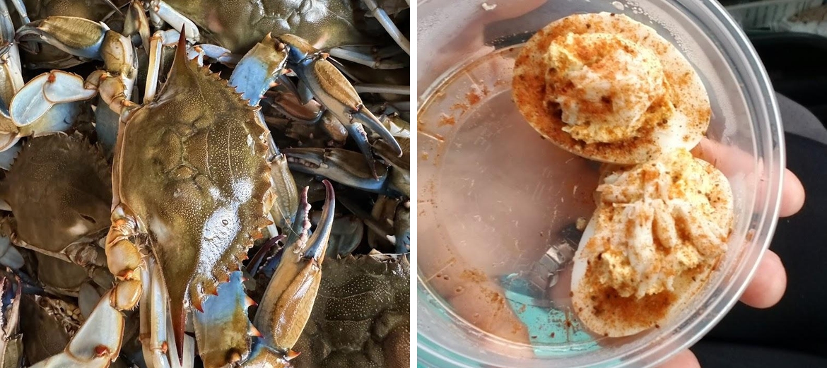 Crabs Out back
