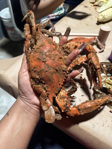 Crabs Out back Menu image 8